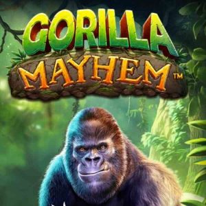 Pragmatic Play Games – Slots, Live Casino & Best Hits